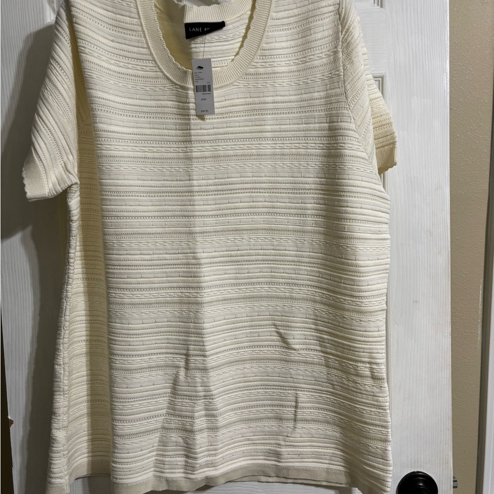 Lane Bryant 3 Textured crew neck short sleeve Sweaters